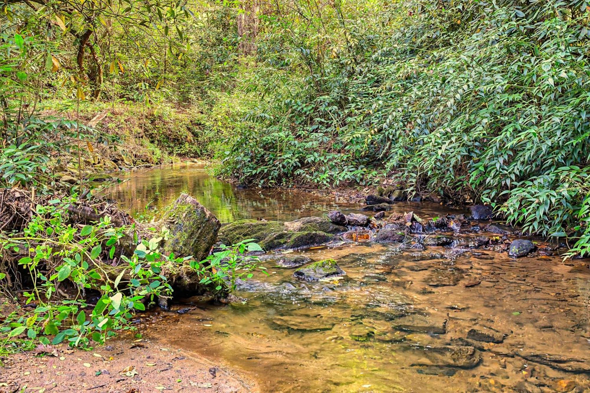 Вилла Laurel Creek Хелен Экстерьер фото